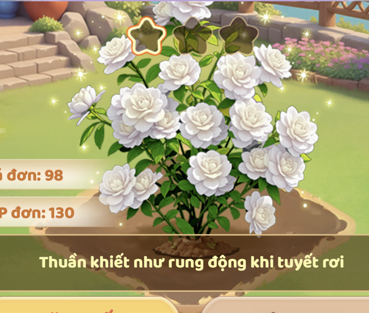 Rosa Banksiae Trắng